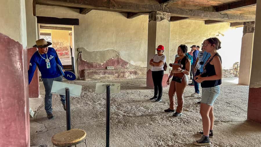 Mexico City: Teotihuacan, Tlatelolco & Guadalupe Shrine Tour - Transport, pickup, and group size