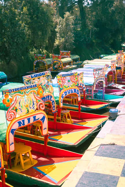 Mexico City: Xochimilco Boat with Guacamole & Premium Drinks - Two hours aboard the colorful trajinera