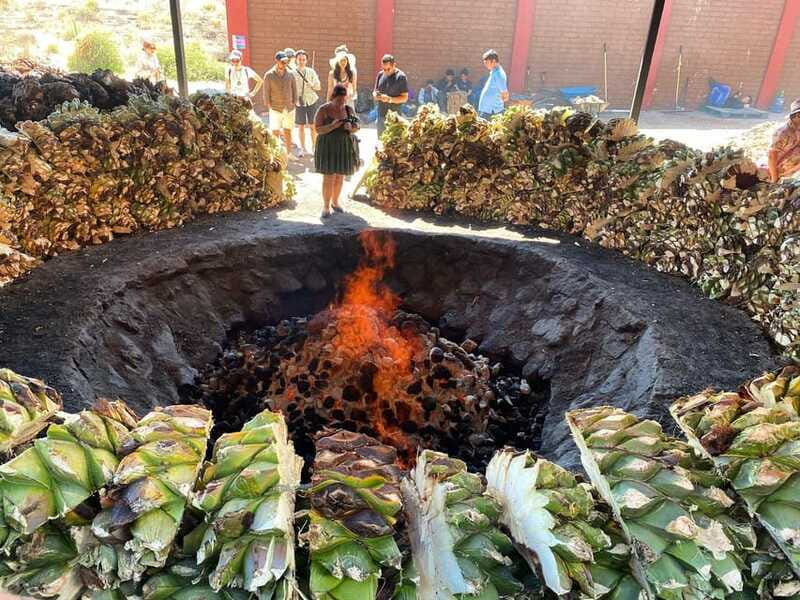 Mezcal Tour Oaxaca - Seeing a traditional palenque at work