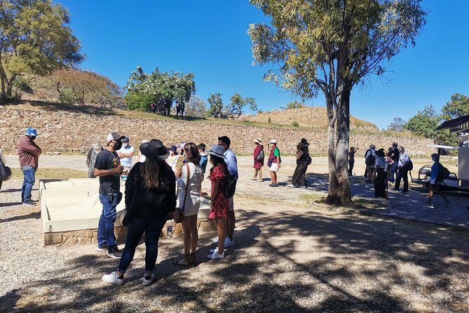Monte Alban - Full Day Guided Tour with or without Food - Oaxaca - What you see at Monte Albán