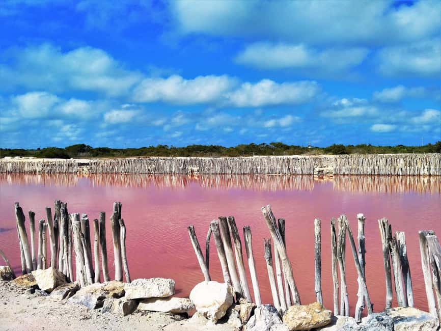 Motul, Hacienda, Xcambo, Pink Salt Mine & Progreso Day Trip - Who should book this Yucatan route?