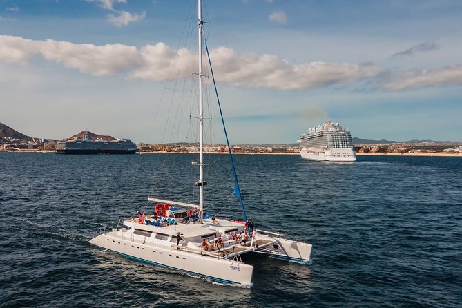 Multimillion Yacht Cabo Cruise Sunset or Snorkel Optional PICKUP! - Whales, sea lions, and seasonal expectations