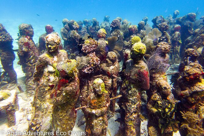 MUSA Museum and Colorful Reef 2 Tank Dive-Certified Divers - A short boat ride and a small group