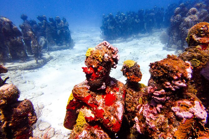 MUSA Museum and Colorful Reef 2 Tank Dive-Certified Divers - The staff receives the strongest praise