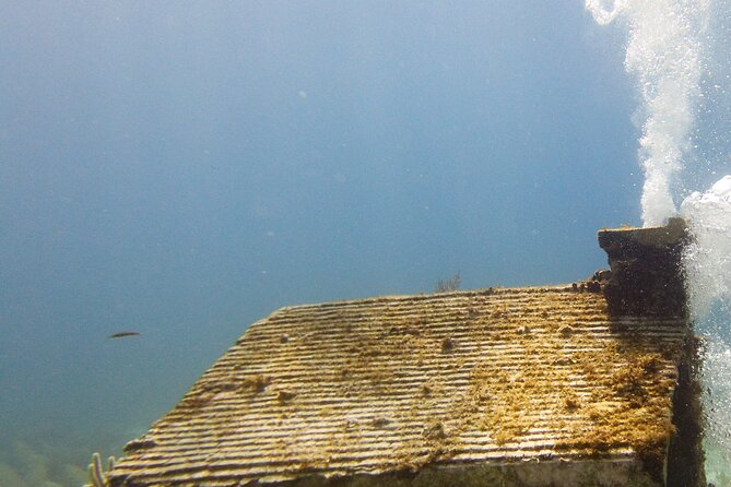 MUSA Museum and Colorful Reef 2 Tank Dive-Certified Divers - Is $100 a fair price?