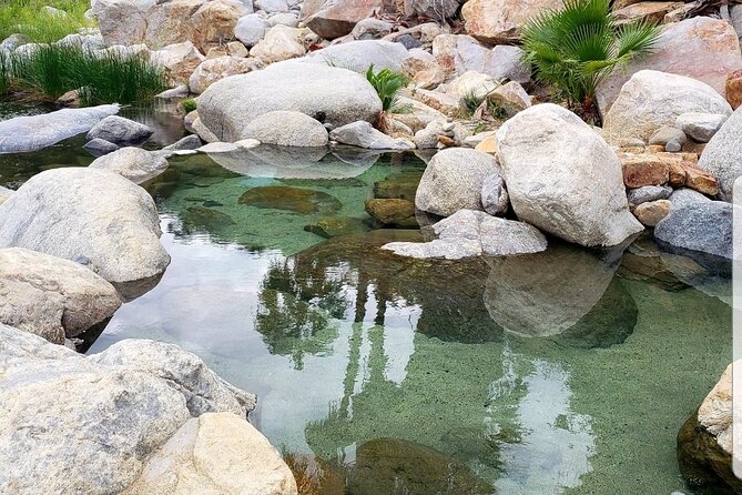 Natural Hot Springs Experience - Who Should Book This Cabo Hot Springs Trip?