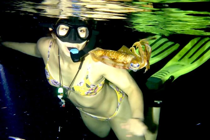 Night Snorkeling - Observation of octopus and other species - A calm briefing before entering the water