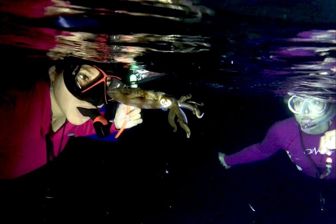 Night Snorkeling - Observation of octopus and other species - Searching for octopus with Lalo, Daniel, or another guide