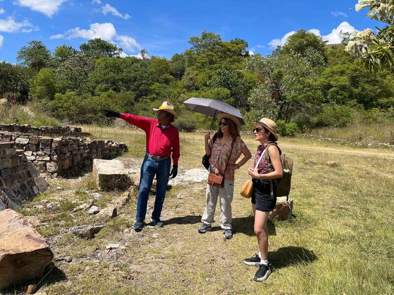 Oaxaca de Juarez: Monte Alban Half-Day Tour - Key details before you book