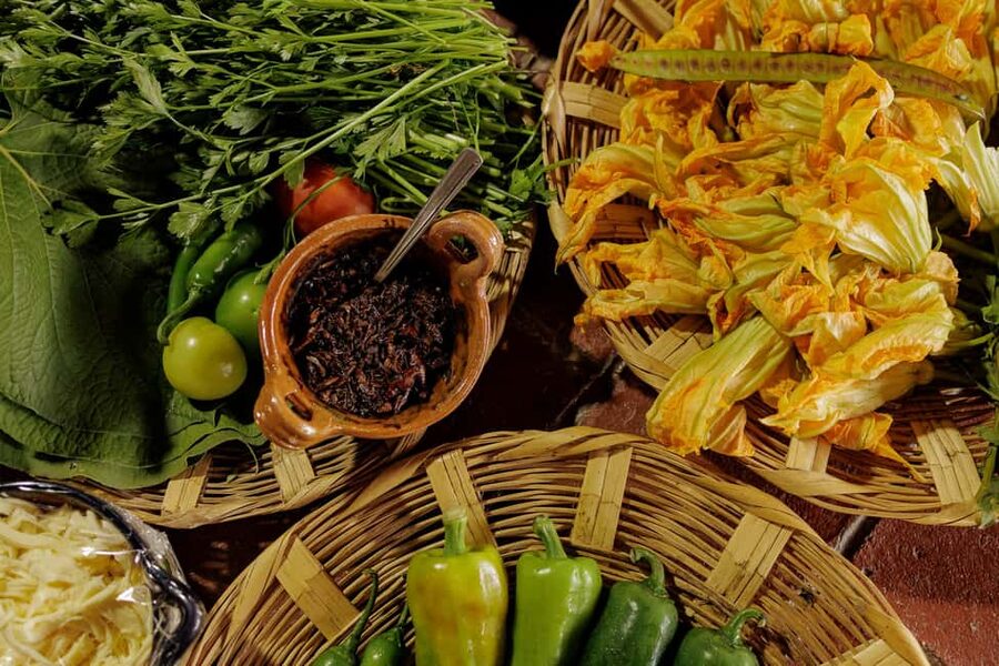 Oaxaca de Juarez: Traditional Oaxacan Cooking Class - Meeting the Ingredients in Sonia’s Kitchen