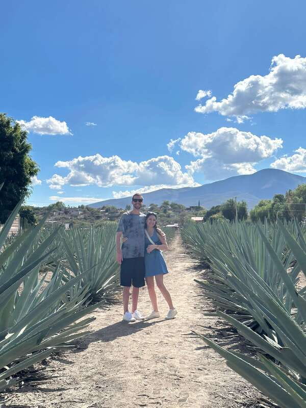 Oaxaca: Hierve el Agua & Mezcal Distillery Small-Group Tour - Should you book this Oaxaca day trip?