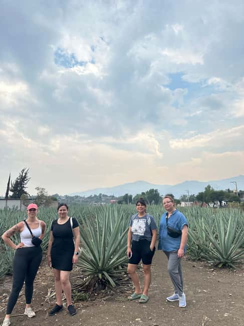 Oaxaca: Hierve el Agua & Mezcal Distillery Small-Group Tour - Hierve el Agua: dramatic views and a demanding trail