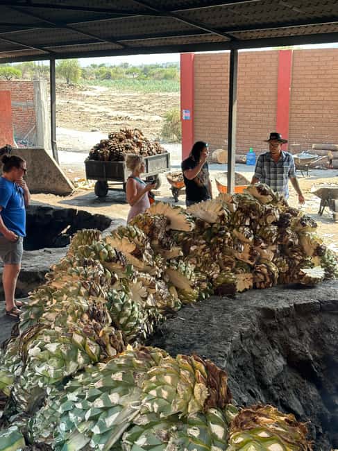 Oaxaca: Hierve el Agua & Mezcal Distillery Small-Group Tour - Lunch at 200 pesos: a practical and tasty pause