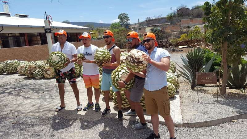 Oaxaca: Mezcal Adventure - From downtown Oaxaca to the Tlacolula Valley