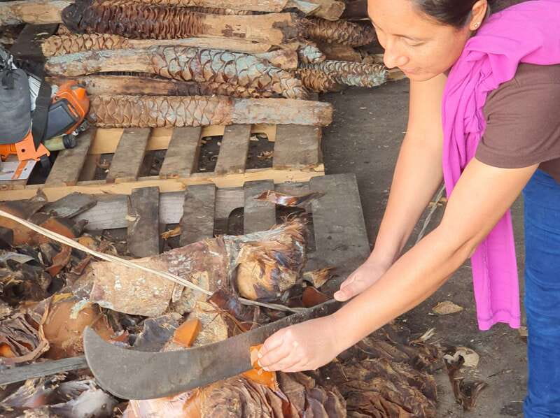 Oaxaca: Mezcal Adventure - Lunch, local food, and the rhythm of the day