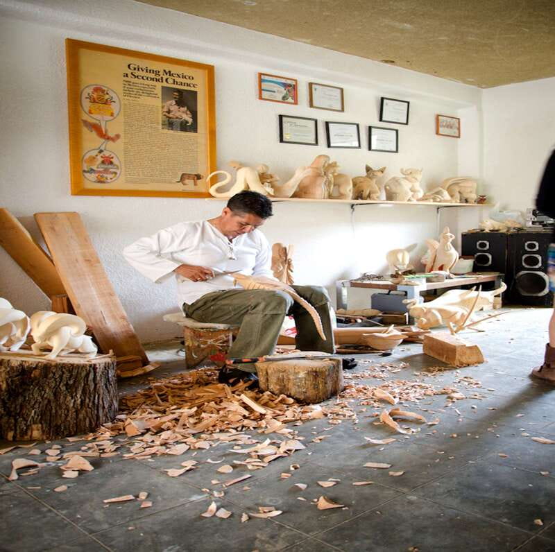 Oaxaca: Monte Alban and the Art of Oaxaca - Is $42 a good value for seven hours?