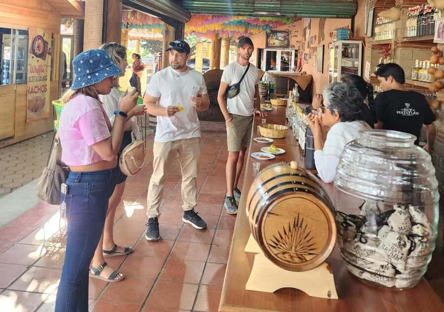 Oaxaca: Tule, Mitla & Hierve el Agua, & Mezcal Tour - Key points at a glance