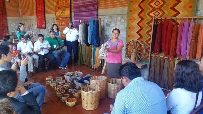 Oaxaca: Tule, Mitla & Hierve el Agua, & Mezcal Tour - The Tule Tree gives the morning a memorable start