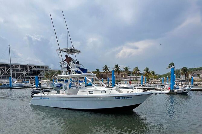 Ocean Eco Adventure with Marine Biologist Guides - Snorkeling a quieter reef for about an hour