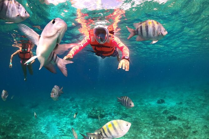 Official Chankanaab Park Day pass and Snorkel with Lunch included - The Mayan replicas and tropical garden