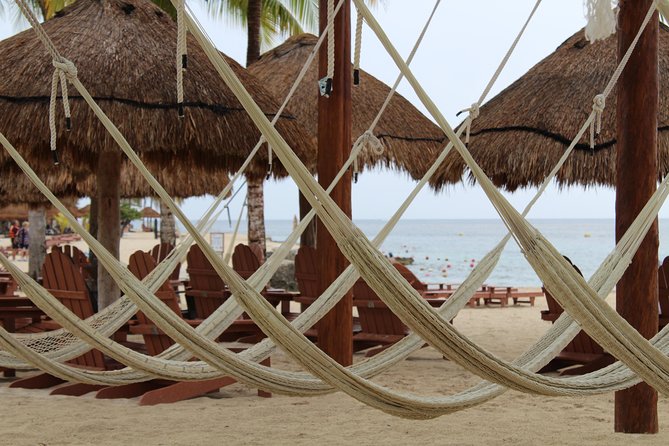 Official Chankanaab Park Day pass and Snorkel with Lunch included - The sea lion show and tequila tasting