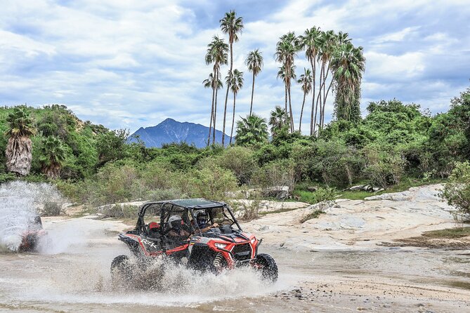 OffRoad 4X4 UTV Adventure with unlimited Lunch & Tequila - Key points to know before you book