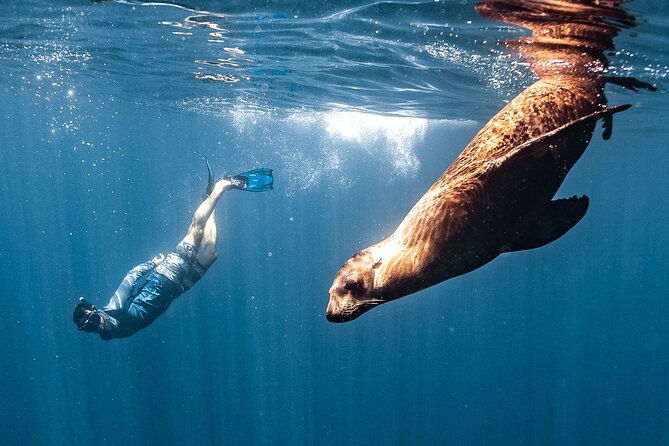 Open Ocean Safari and Whale Watching - What kind of boat day is this?