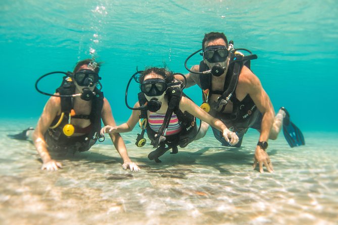 Open Water Course Cozumel - Who should choose this course