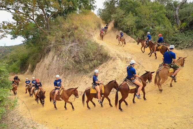 Outdoor Ziplining, Waterfalls & Speed boat in Puerto Vallarta - Mule trekking before the first zipline