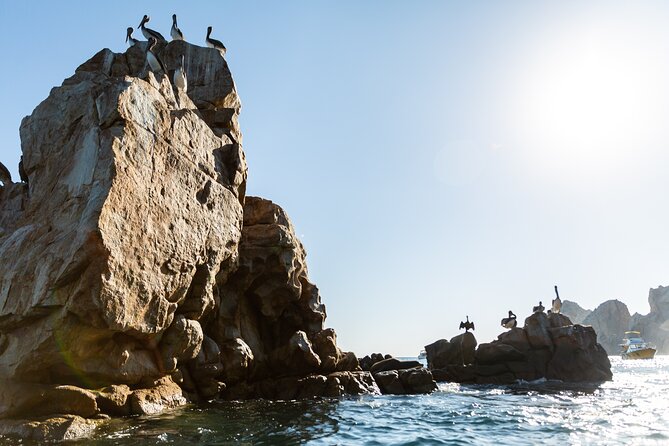 Paddleboard Expedition to the Arch of Cabo San Lucas, Lovers Beach & Snorkel - Why the early departure helps
