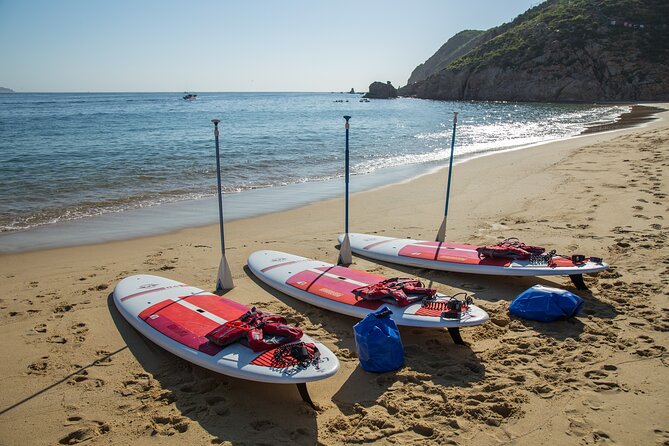 Paddleboard Expedition to the Arch of Cabo San Lucas, Lovers Beach & Snorkel - Who will enjoy this most