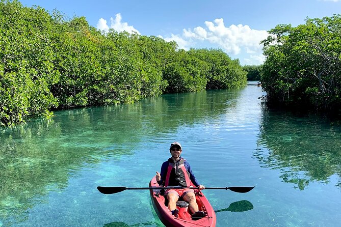 Paddleboard Kayak Tour in Cancun - Group size, pace, and physical demands