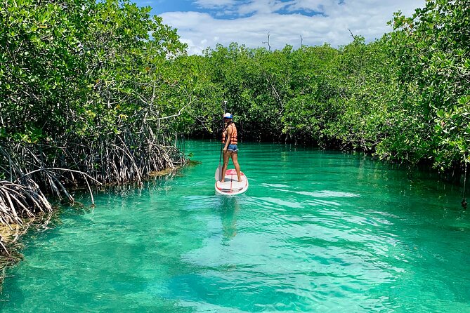 Paddleboard Kayak Tour in Cancun - Who will enjoy this tour most
