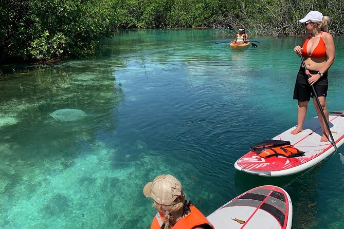Paddleboard Kayak Tour in Cancun - Paddleboard or kayak: choosing the right fit