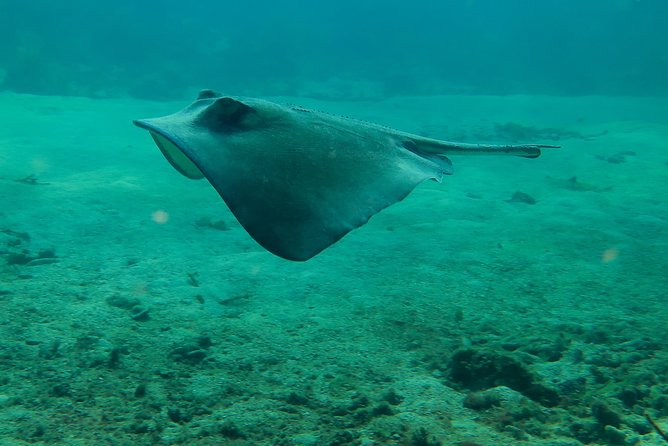 PADI Discover Scuba Diving - Who should book this experience?