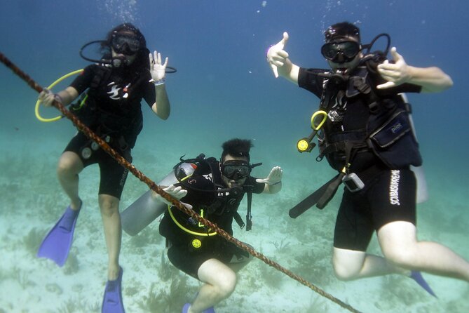 PADI Discover Scuba Diving for divers without certification - Why this is a sensible first scuba experience