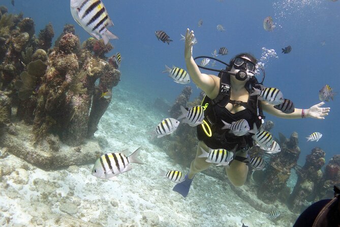 PADI Discover Scuba Diving for divers without certification - What $169 includes in practical value