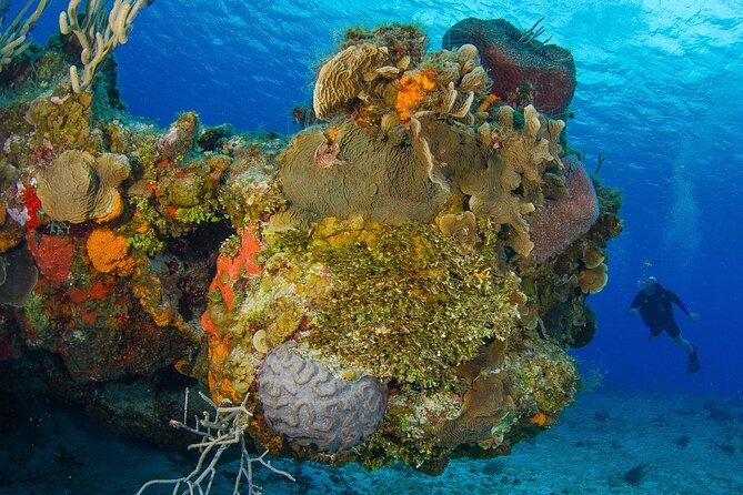 PADI Discover Scuba Diving Program in the Riviera Maya - What the $126 Price Includes