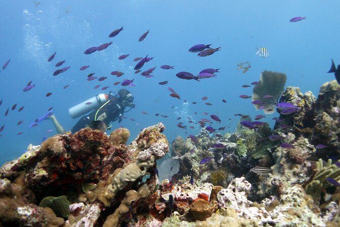 PADI Open Water Diver Course - Weather and Cancellation Flexibility