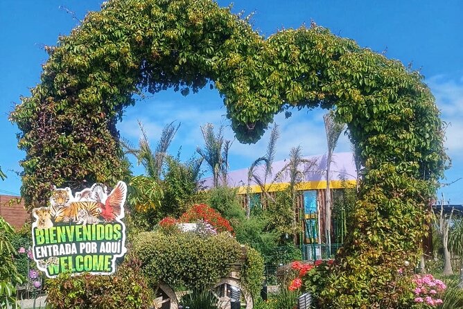 Pai Pai Animal Experience: Private Ride and Ticket Assistance - Meeting your driver at the Ensenada port
