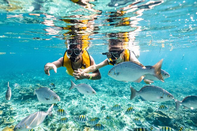 Parasailingcancun and Jet Ski tour over Cancun Bay - Photos, equipment, and small practical details