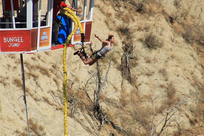Park Pass at Wild Canyon One Place, Many Adventures - Camel rides, horseback riding, and the animal sanctuary