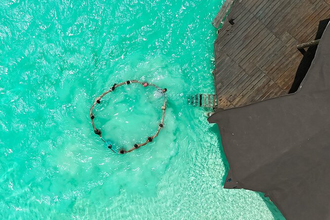 Photography and Filming with drone and camera - Is $92.60 good value for six people?