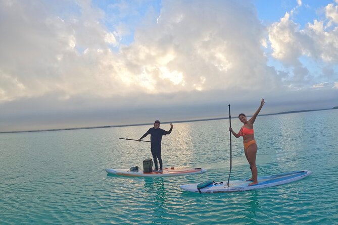 Pirate's Channel & 3 Lagoons Kayak or SUP/Paddle Tour +Meditation - Mariscal Lagoon and the mangrove sanctuary