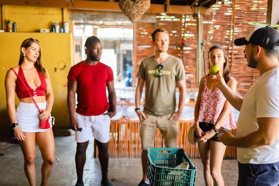 Playa del Carmen: 3-Hour Local Food Walking Tour - What $84 buys you