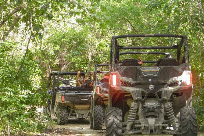 Playa del Carmen Buggy Tour with Cenote Swim and Mayan Village Visit - What this Playa del Carmen tour actually includes