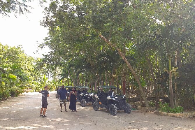 Playa del Carmen Buggy Tour with Cenote Swim and Mayan Village Visit - Who should book this jungle adventure?