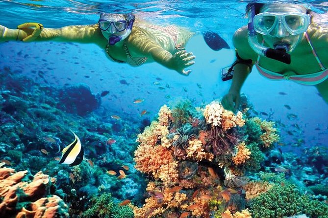 Plus Experience Isla Mujeres Tour - How the value compares with the format