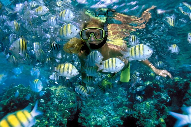 Plus Full Day Catamaran Tour to Isla Mujeres All Inclusive - Setting sail with drinks, music, and a social crew