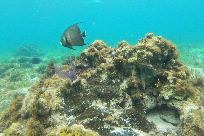 Premium Isla Mujeres Tour by Private Catamaran - Two hours to find your own pace on Isla Mujeres